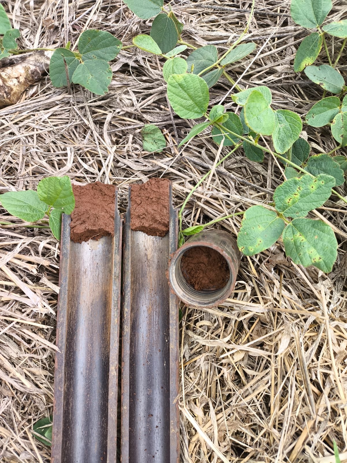 Equipe GeD Engenharia realizando sondagem SPT